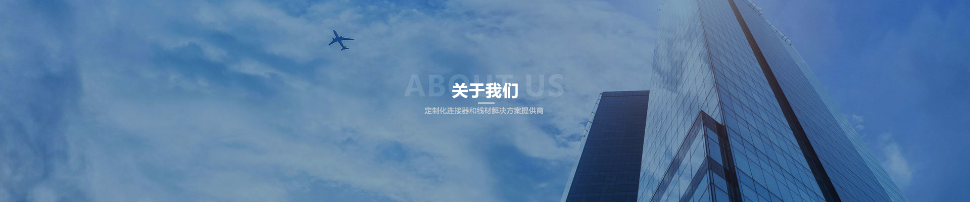 这是描述信息 这是描述信息